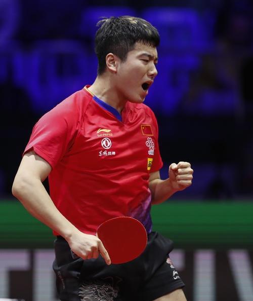 国泳坛年轻 国泳坛年轻