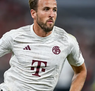 己的打法 己的打法