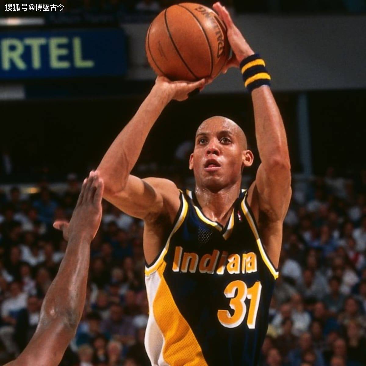 鱼鱼跃杯系 鱼鱼跃杯系