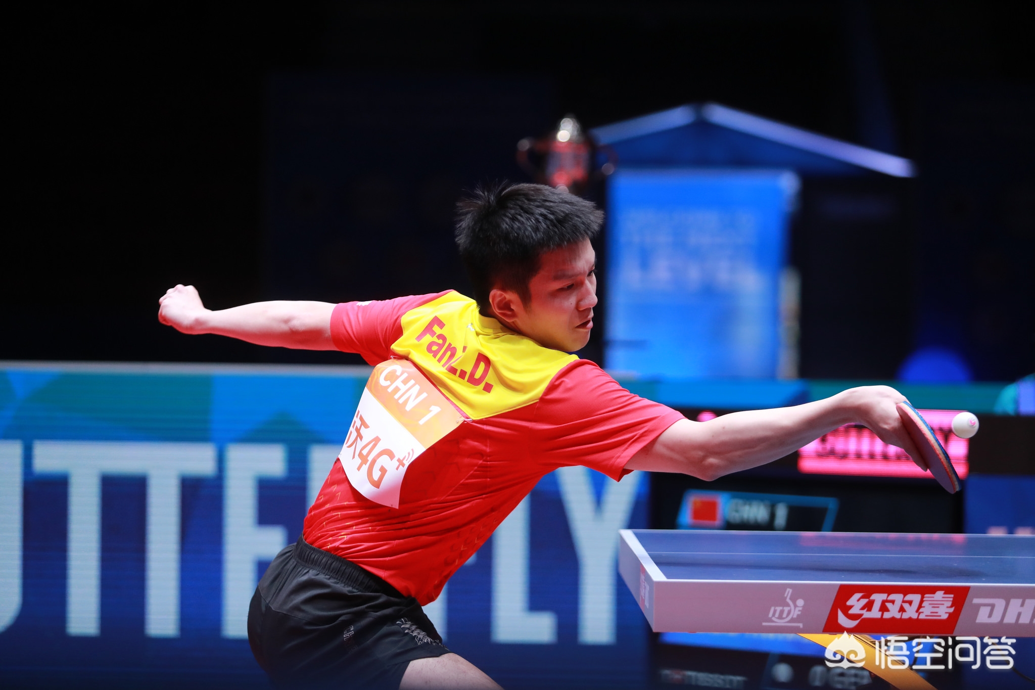 并非质疑个 并非质疑个